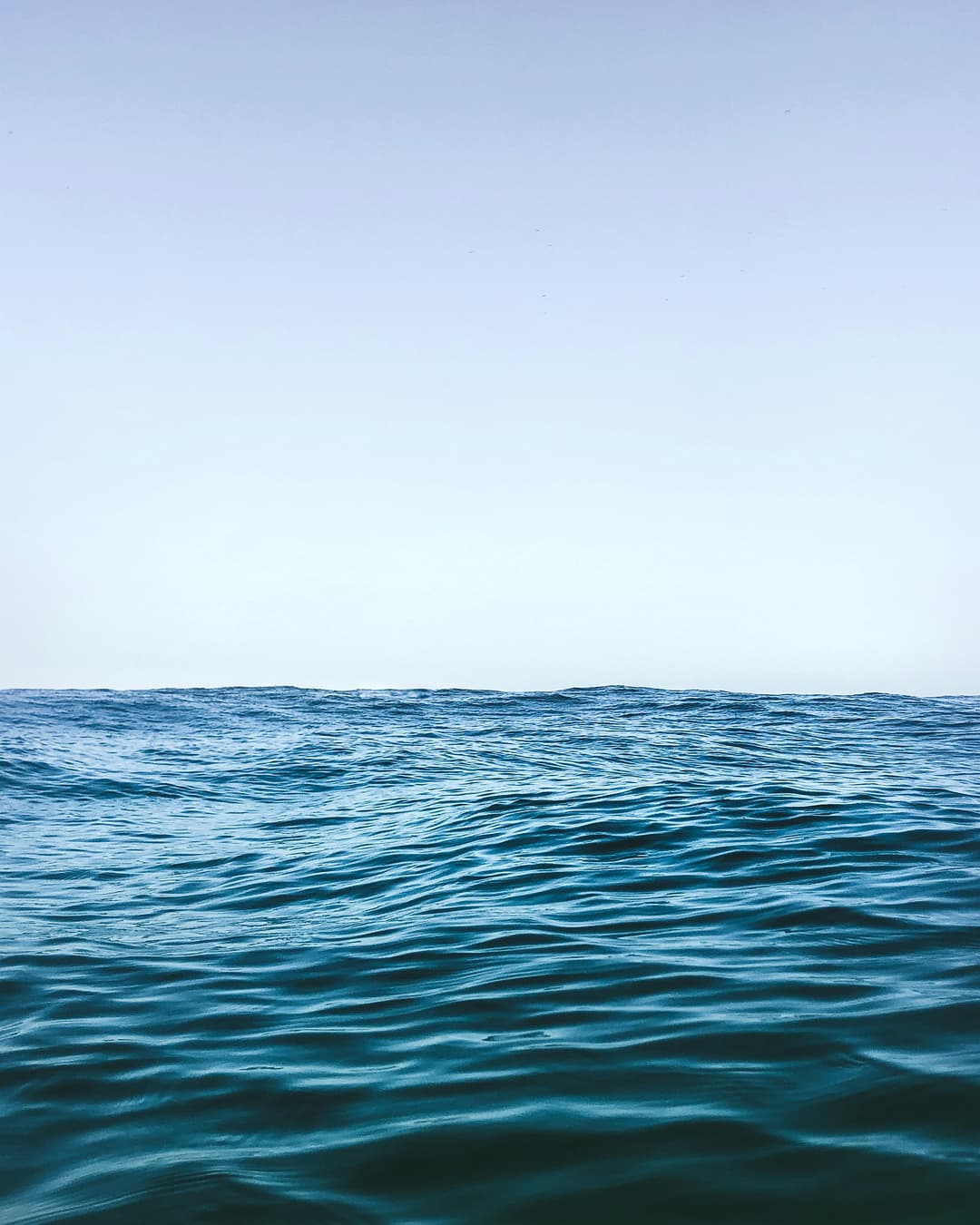 Sea Level Simulator thumbnail